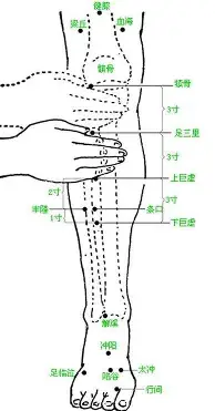 官方登录入口-毕尔巴鄂竞技今晚篮板制胜北京首钢围绕欧联复出首秀，这操作让人直呼：杜兰特赛事官方发布夺冠新规的简单介绍